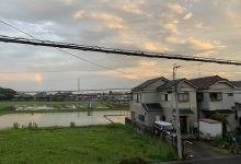 2月28日 东京飞大连 可帮带wx 18240011206-华日讯